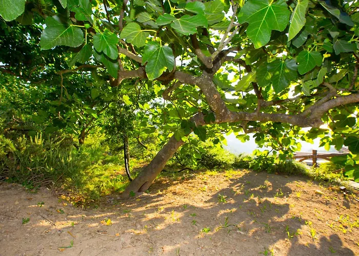 بيت للعطل I Giardini Di