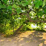 بيت للعطل I Giardini Di