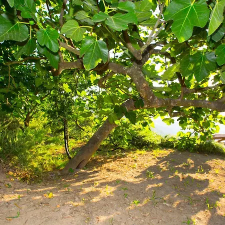 Tatil Evi I Giardini Di