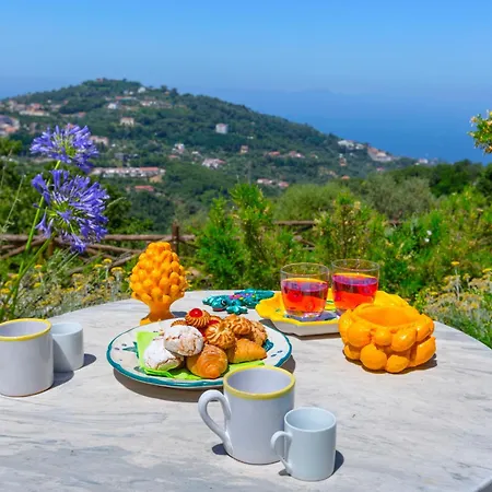 I Giardini Di Nyaraló Sorrento
